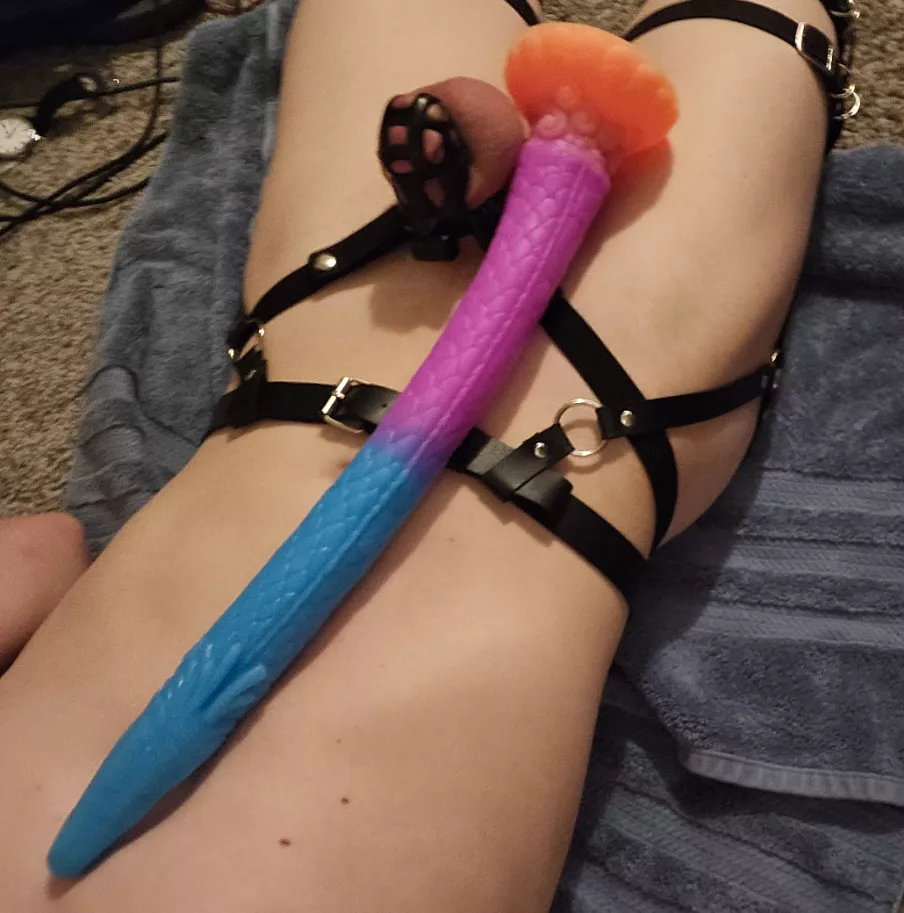I just loooove getting new toys!!