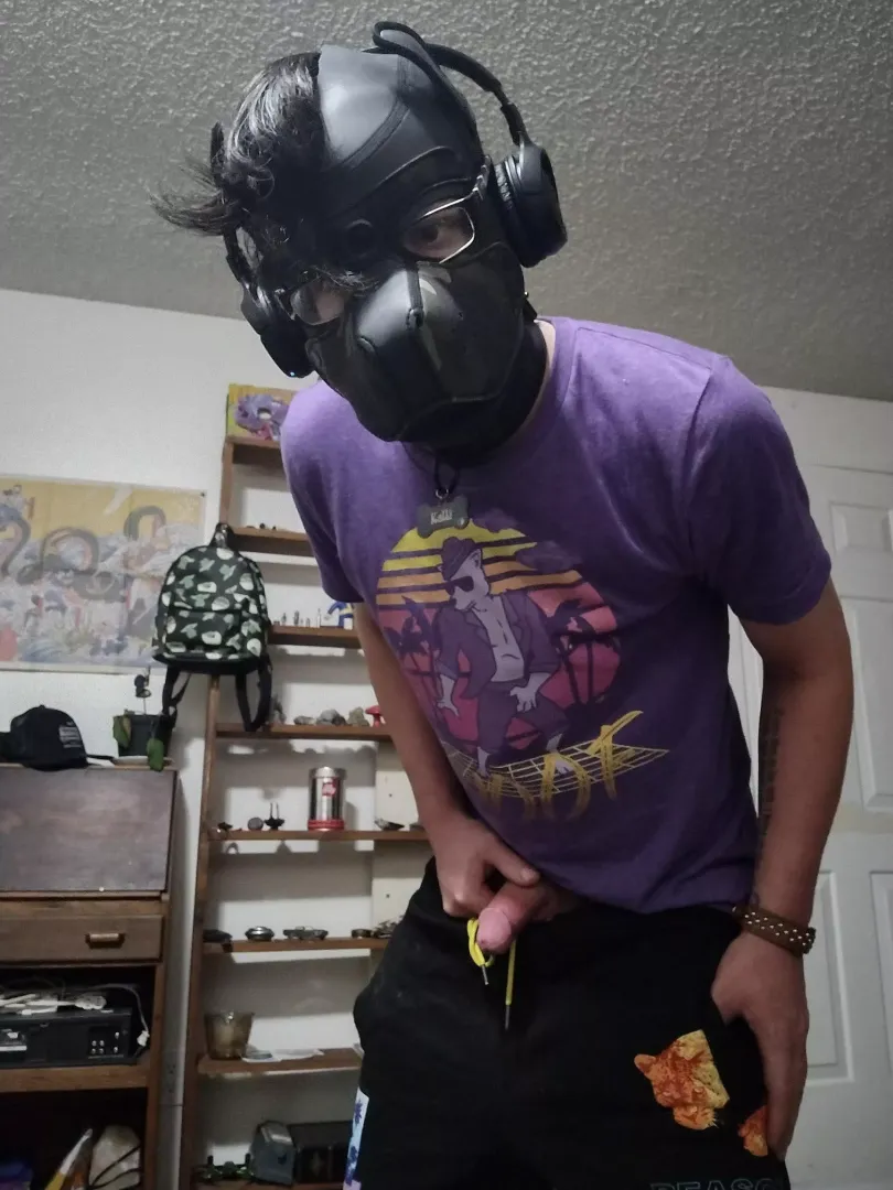 I know it's Locktober but when the cat's away the pups will play 😎