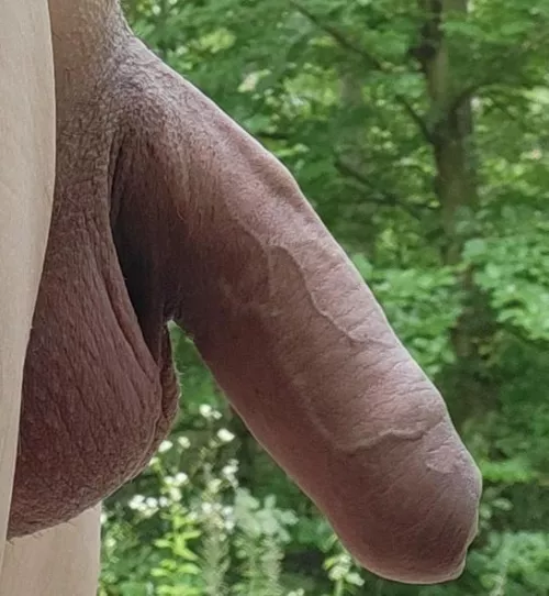 I like my veins