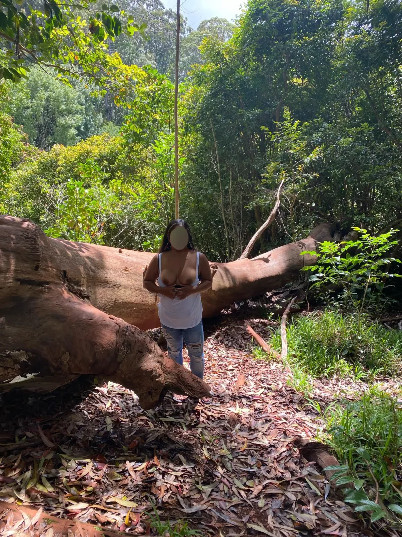 I like nature walks