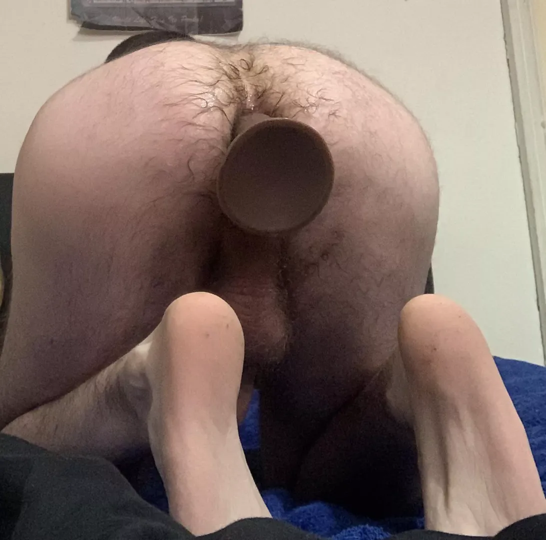 I love being stuffed
