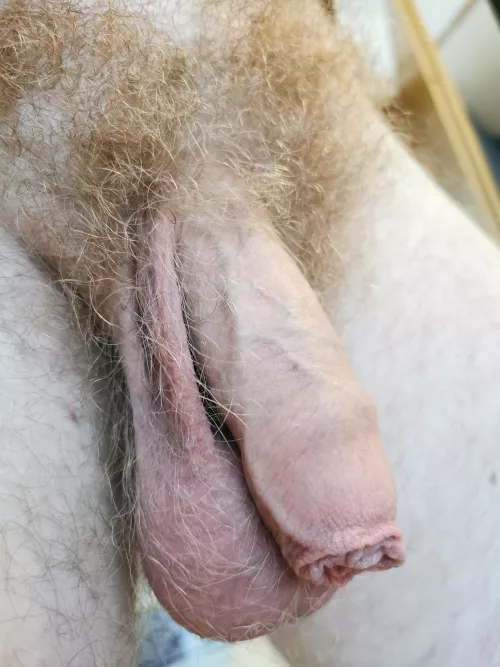 I love my foreskin