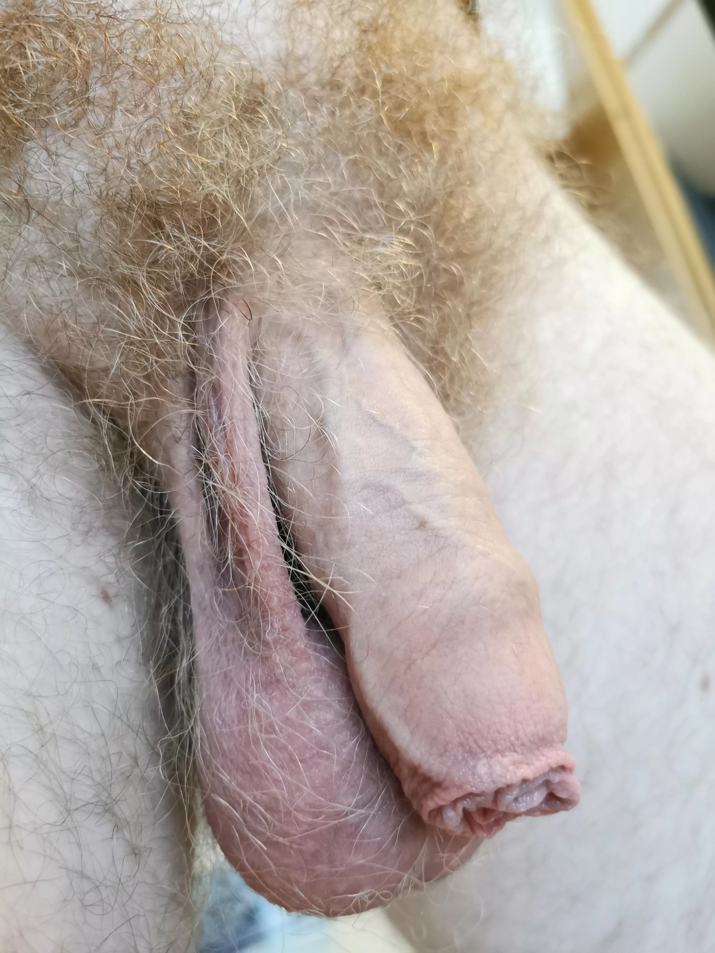 I love my foreskin