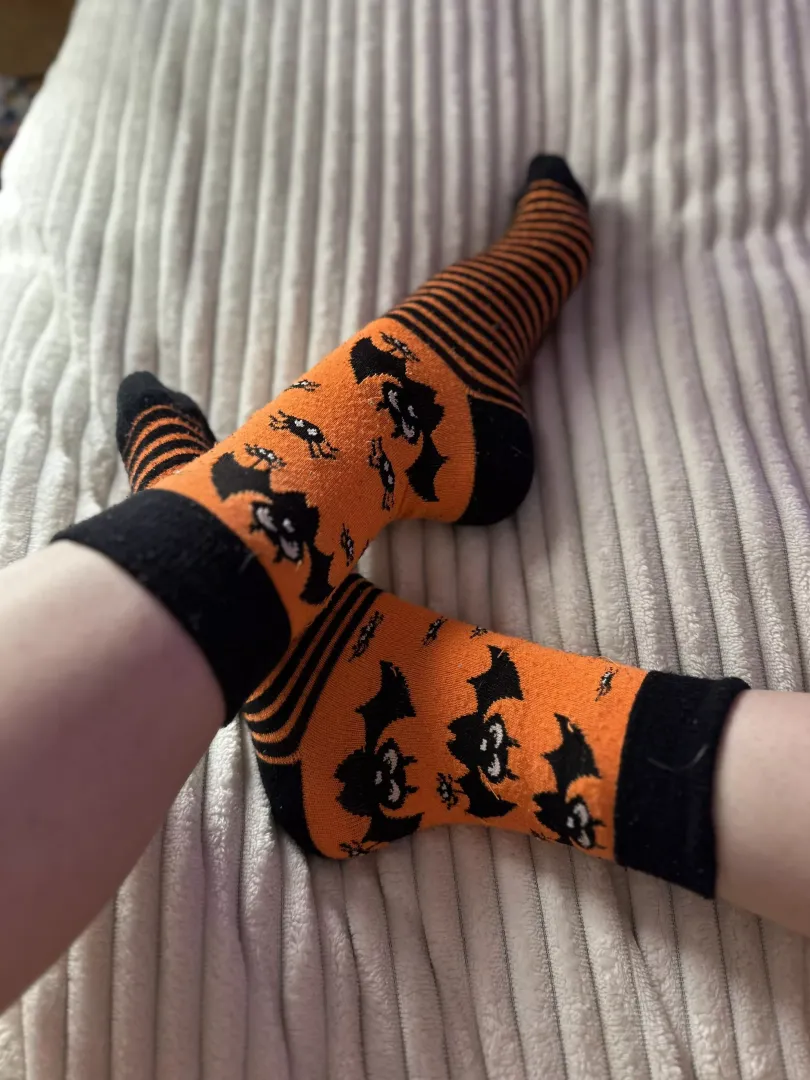 I love my funny socks