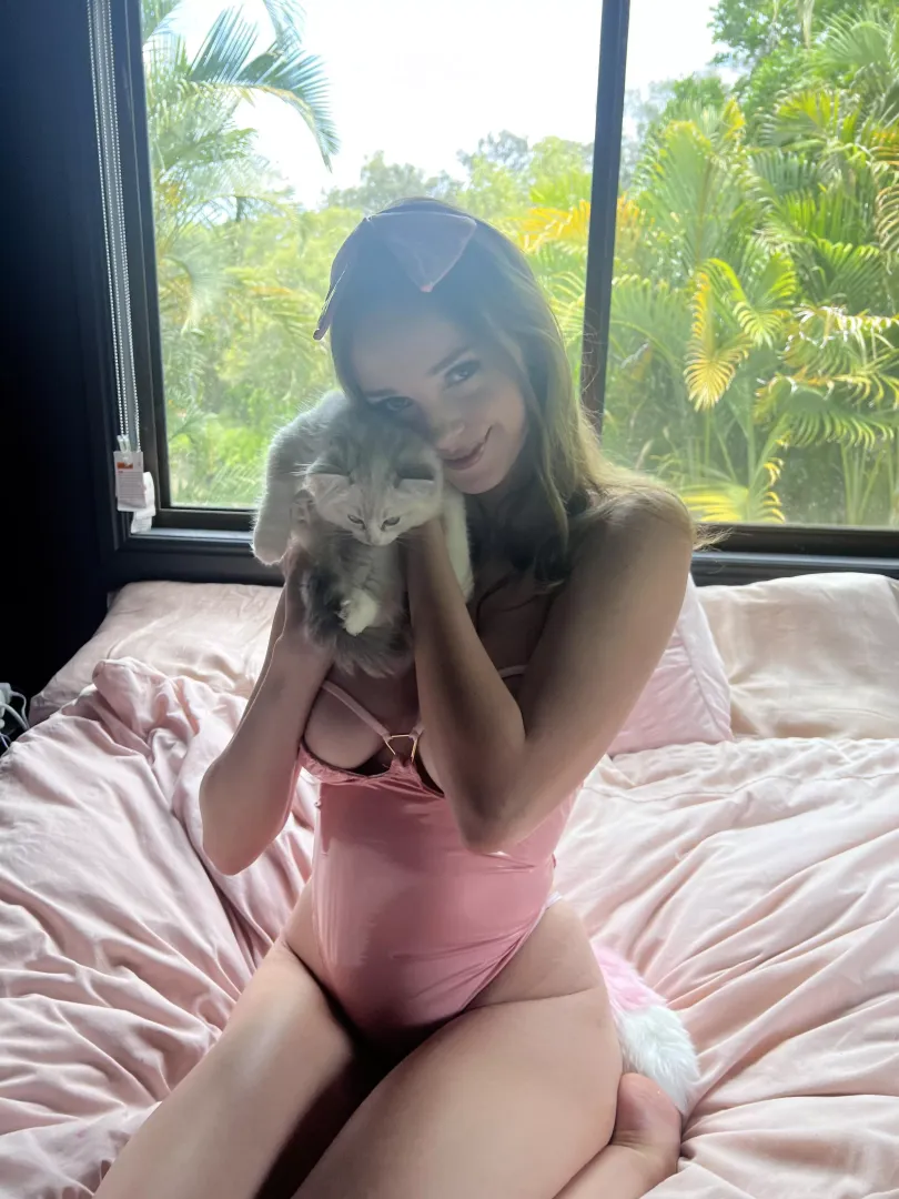 I love my kitty