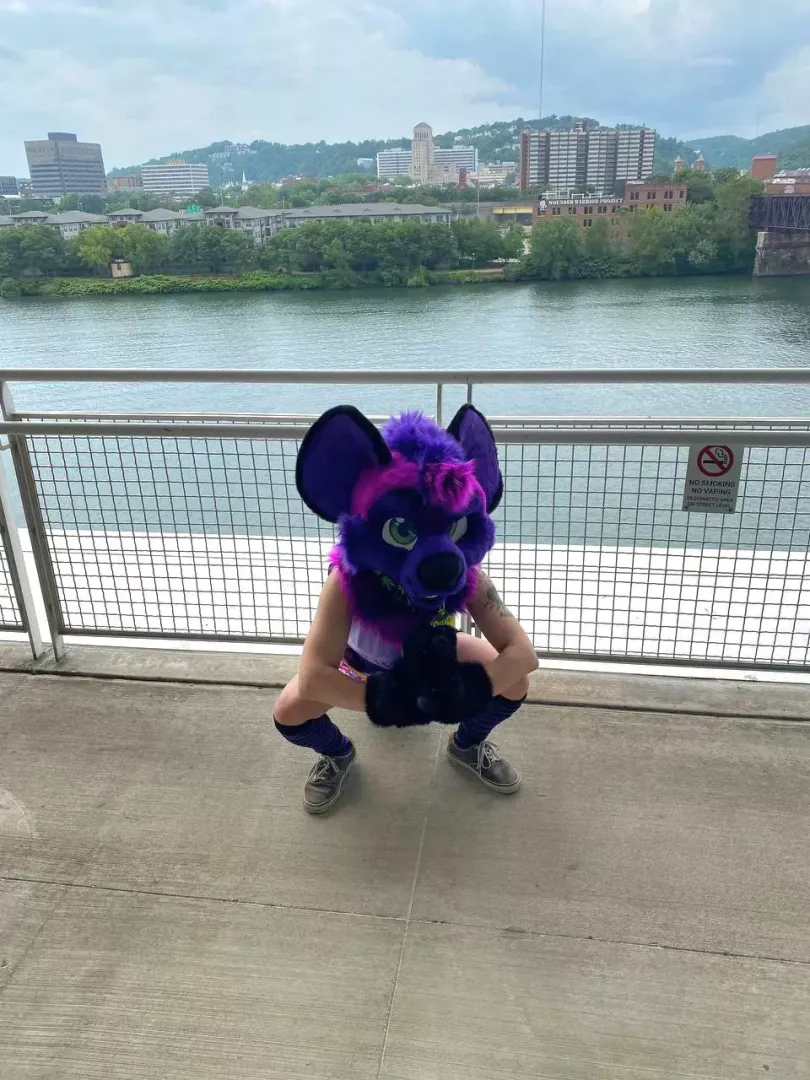 I love my Lemonbrat fursuit.