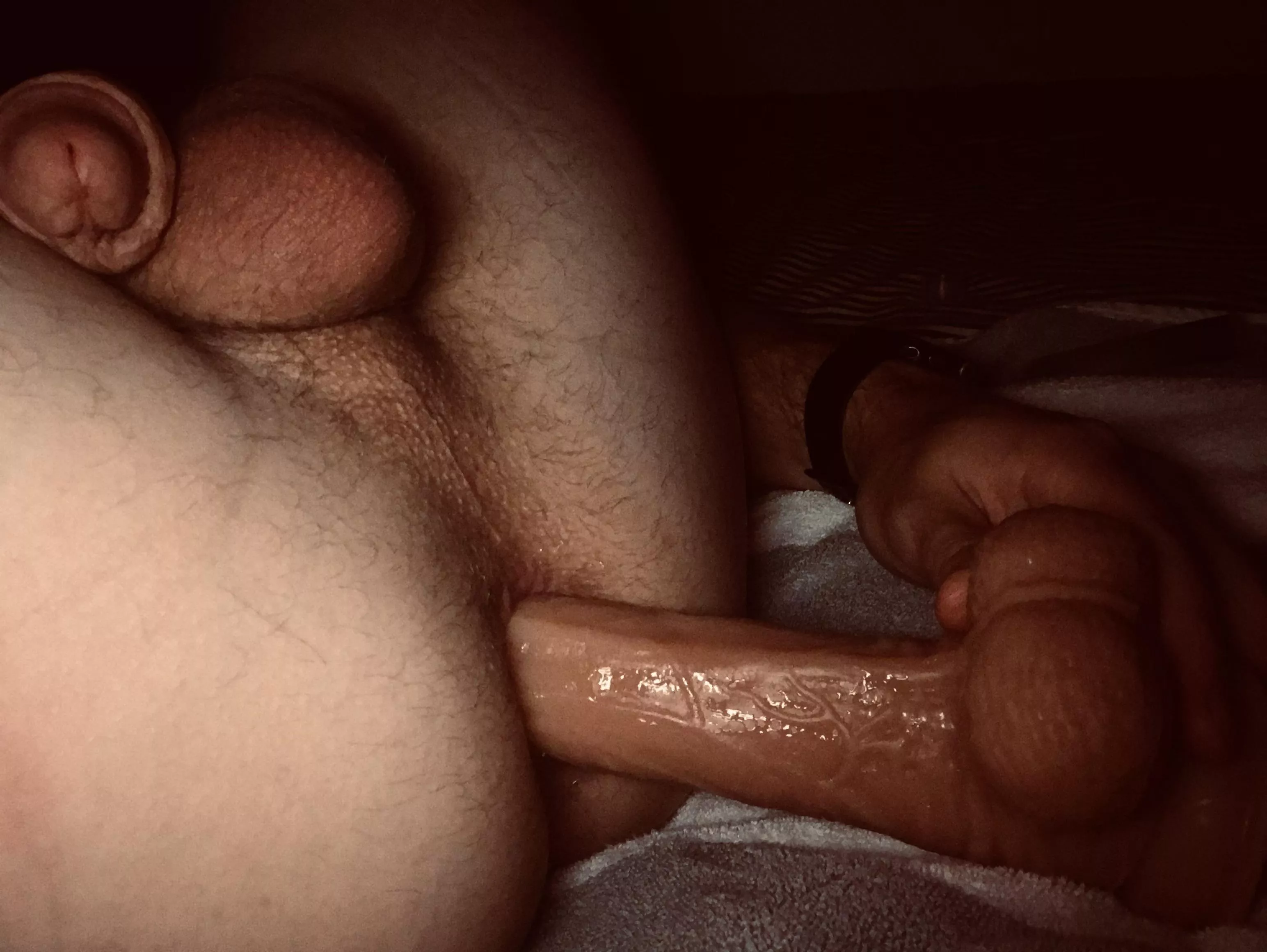 I love putting things up my ass