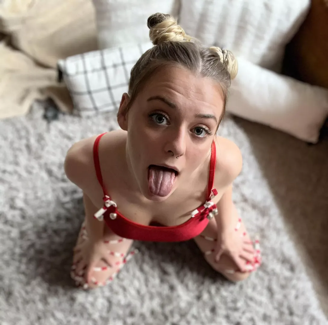 i love sucking cock