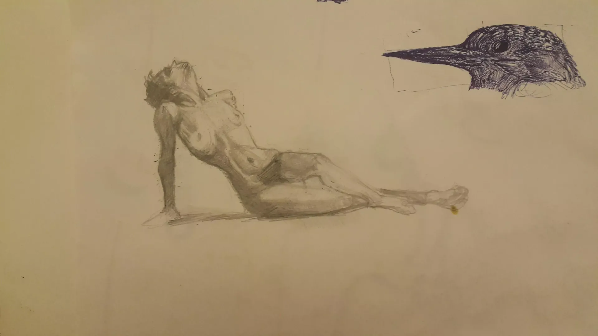 I love to draw.