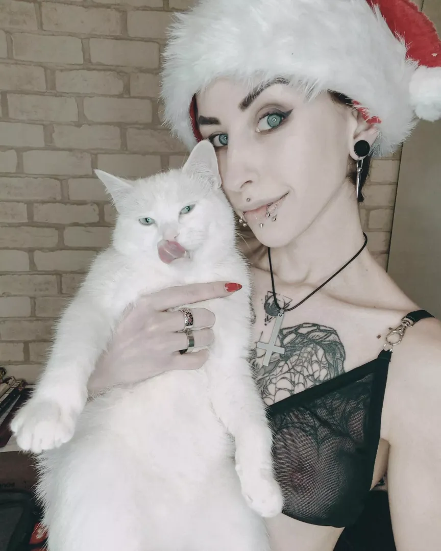 I love to play with my kitty
