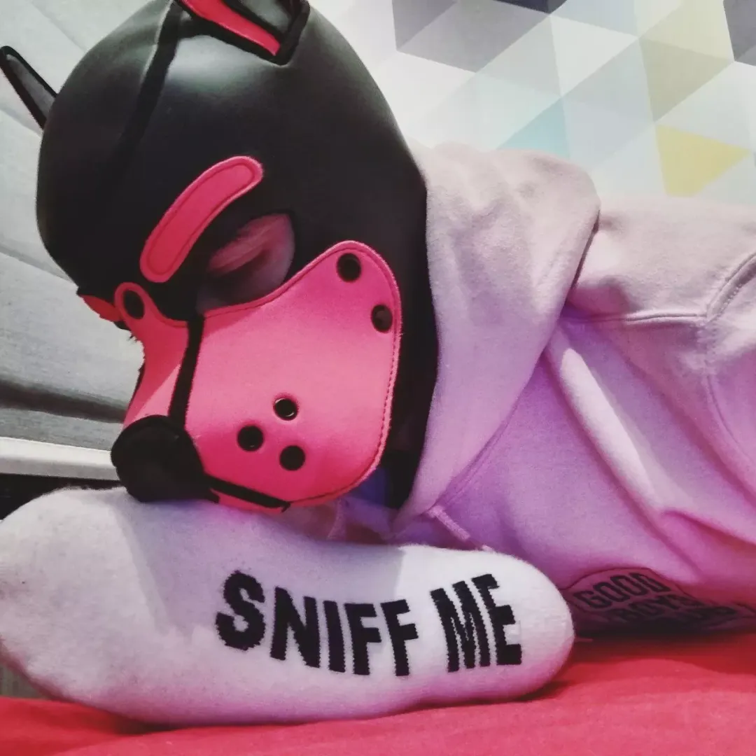 I love to sniff