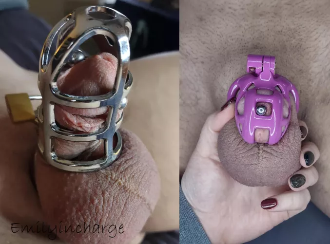 I made him put on our very first cage for giggles 🤭🤭 Hard to believe that one actually used to fit him 😂😂