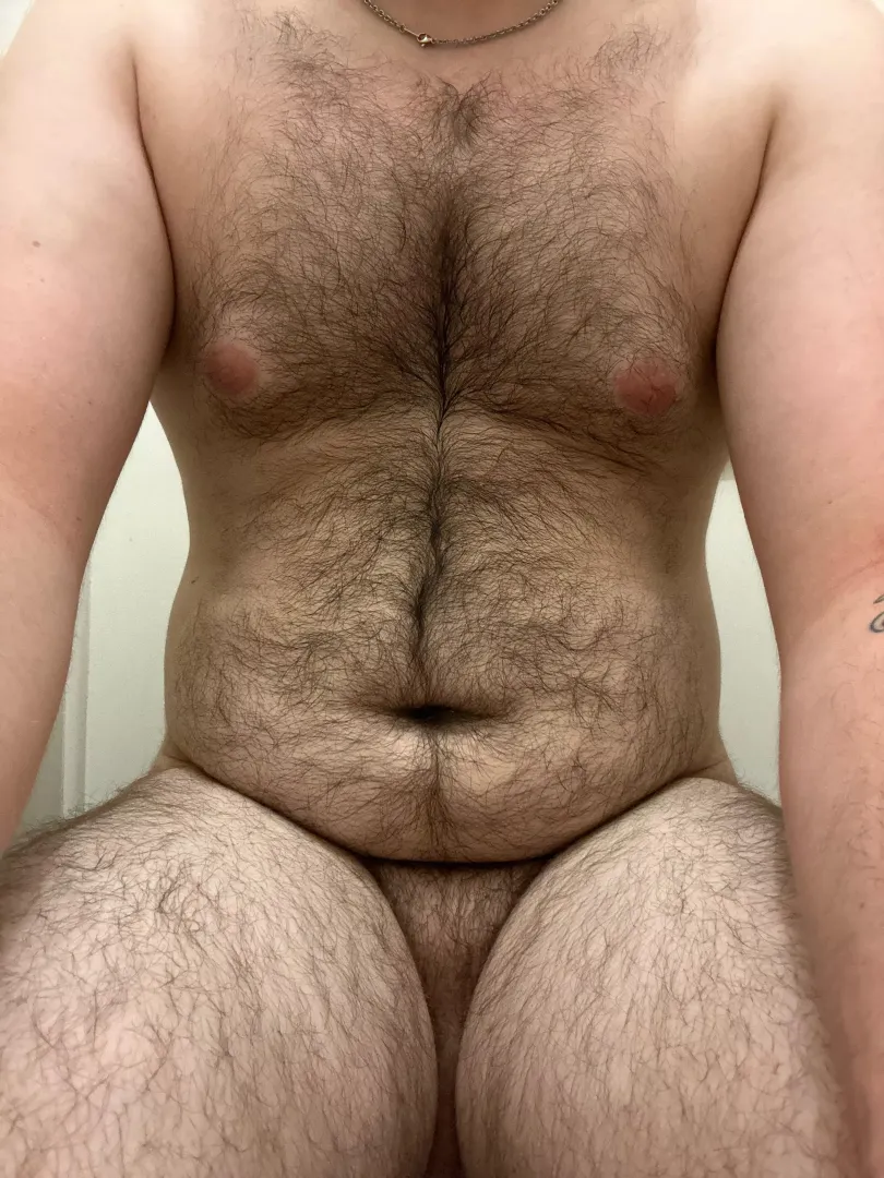 I need a Chubby bearded bear top to help me sleep😴😴