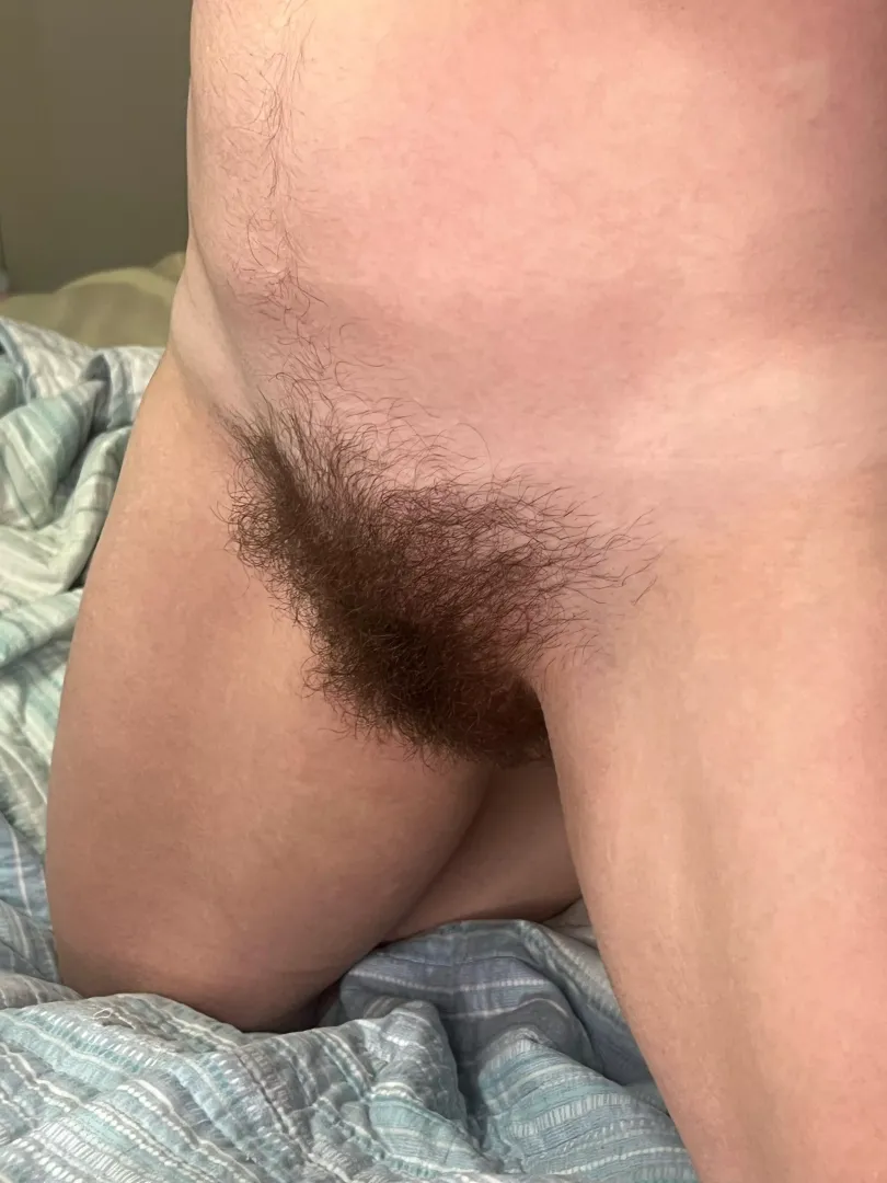 I need a face to ride. Any volunteers?