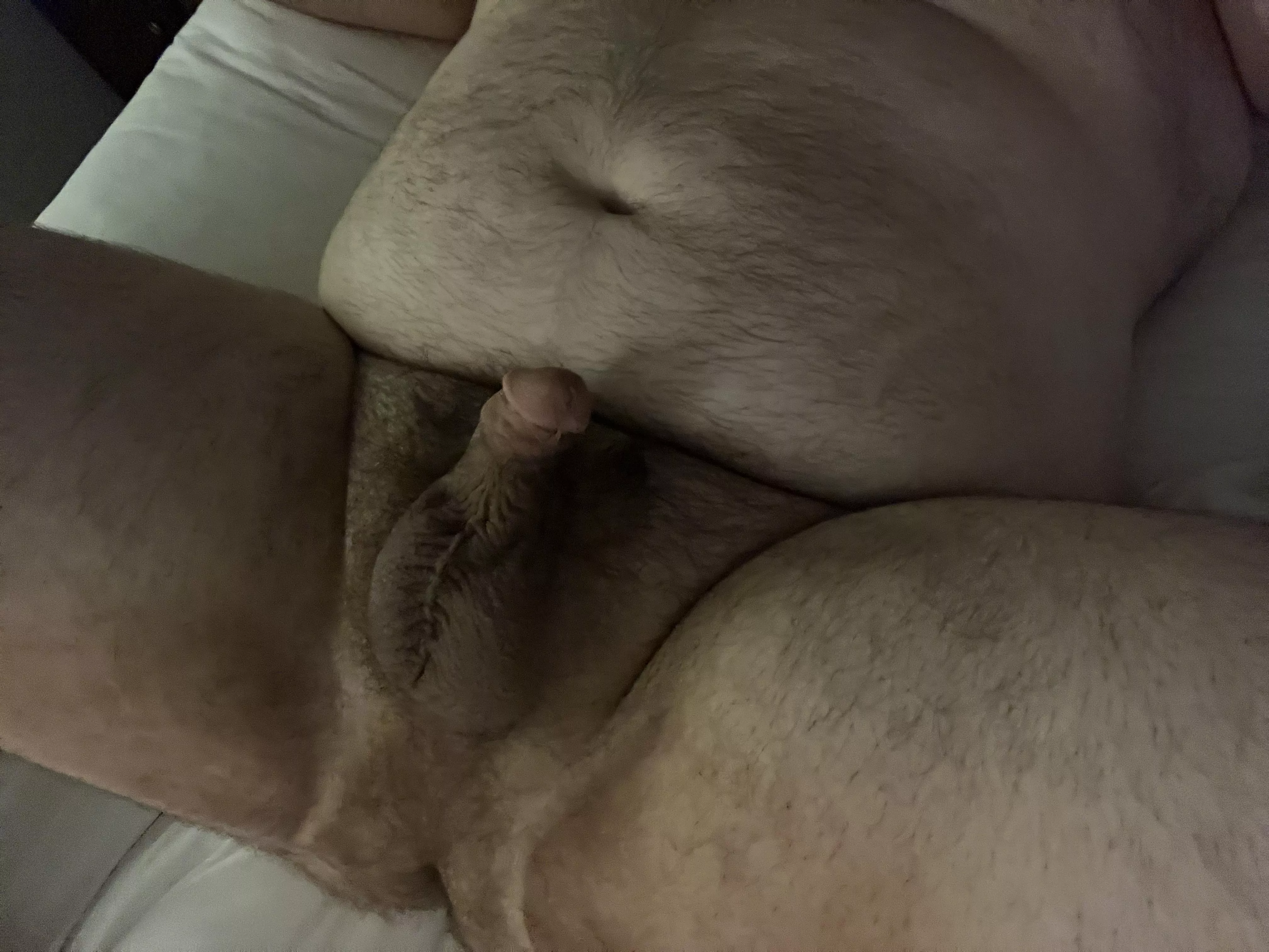 I need to be bred