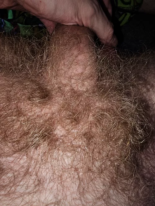 I never shave my pubes. 