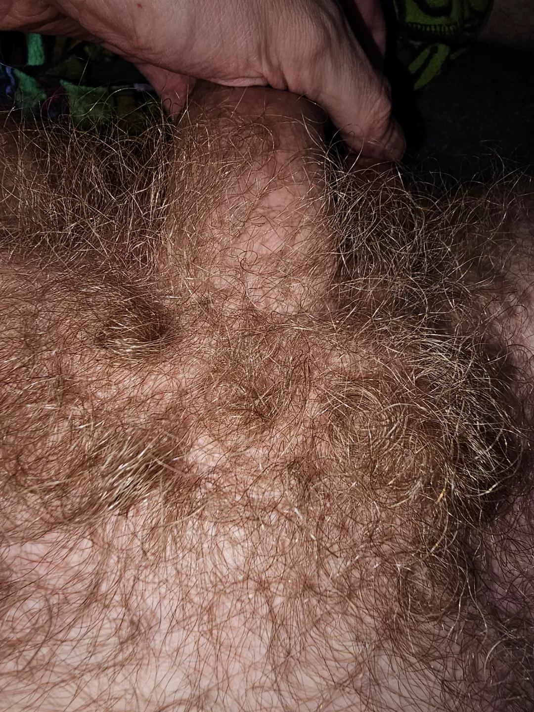 I never shave my pubes. 
