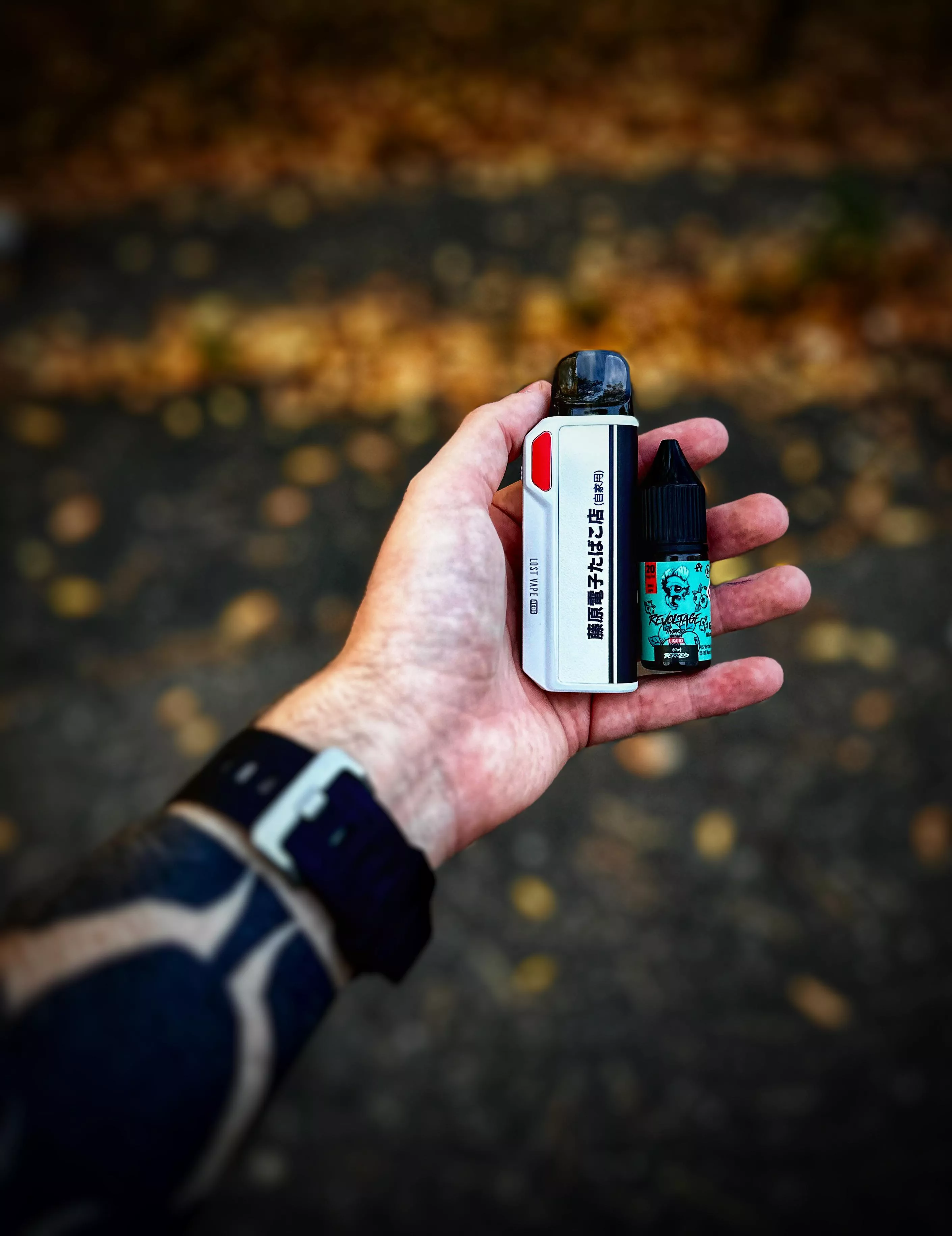 I really like this design 