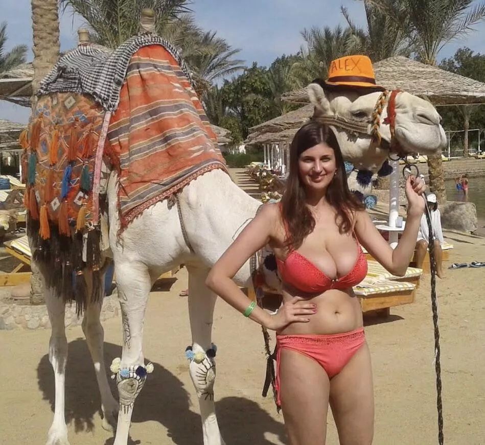 I see two camels 🐫