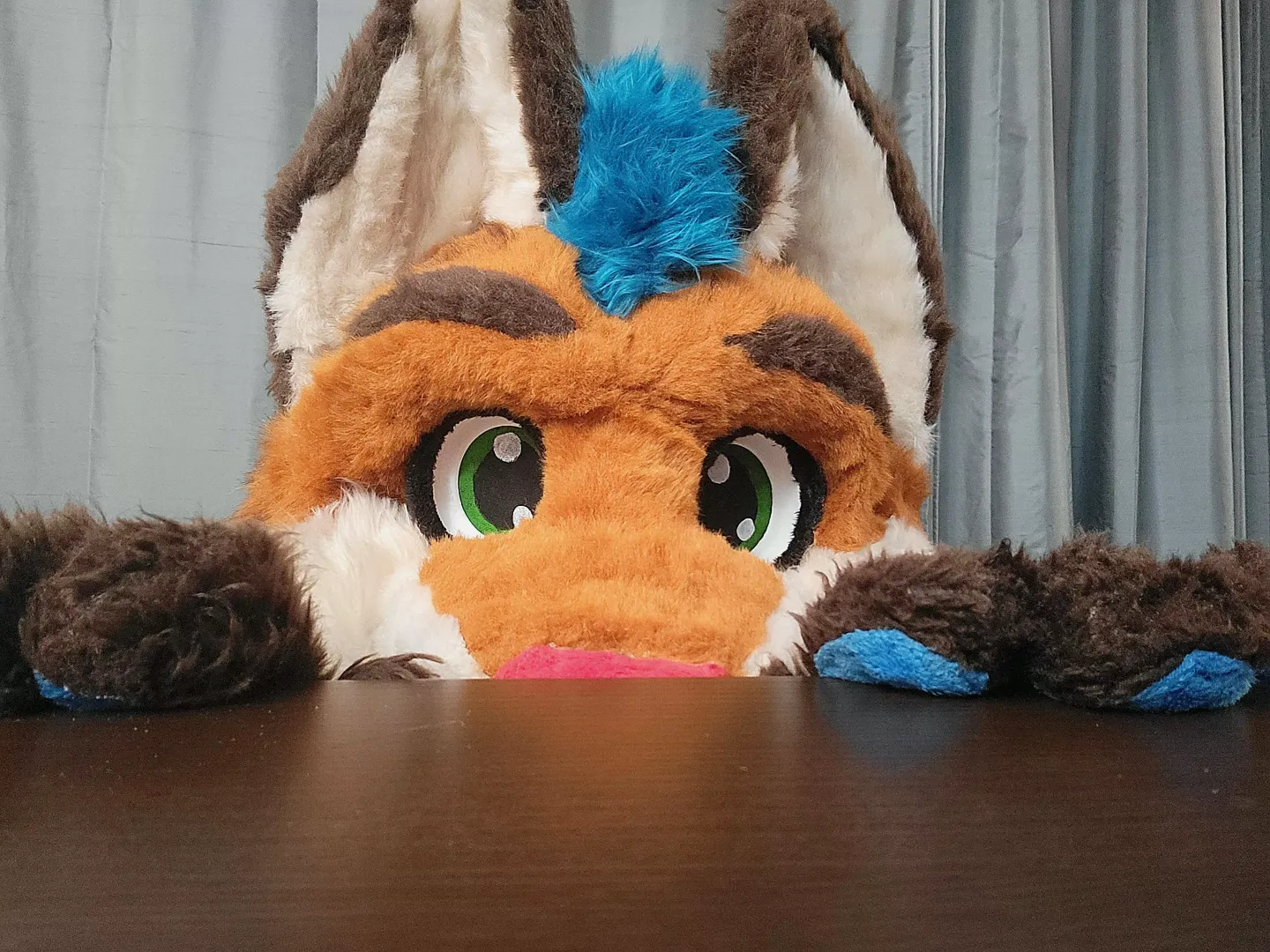 I spy a cutie! 👀