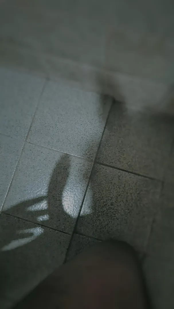 I think my bunny ears were casting a cool shadow here... and something else. 🐰😳