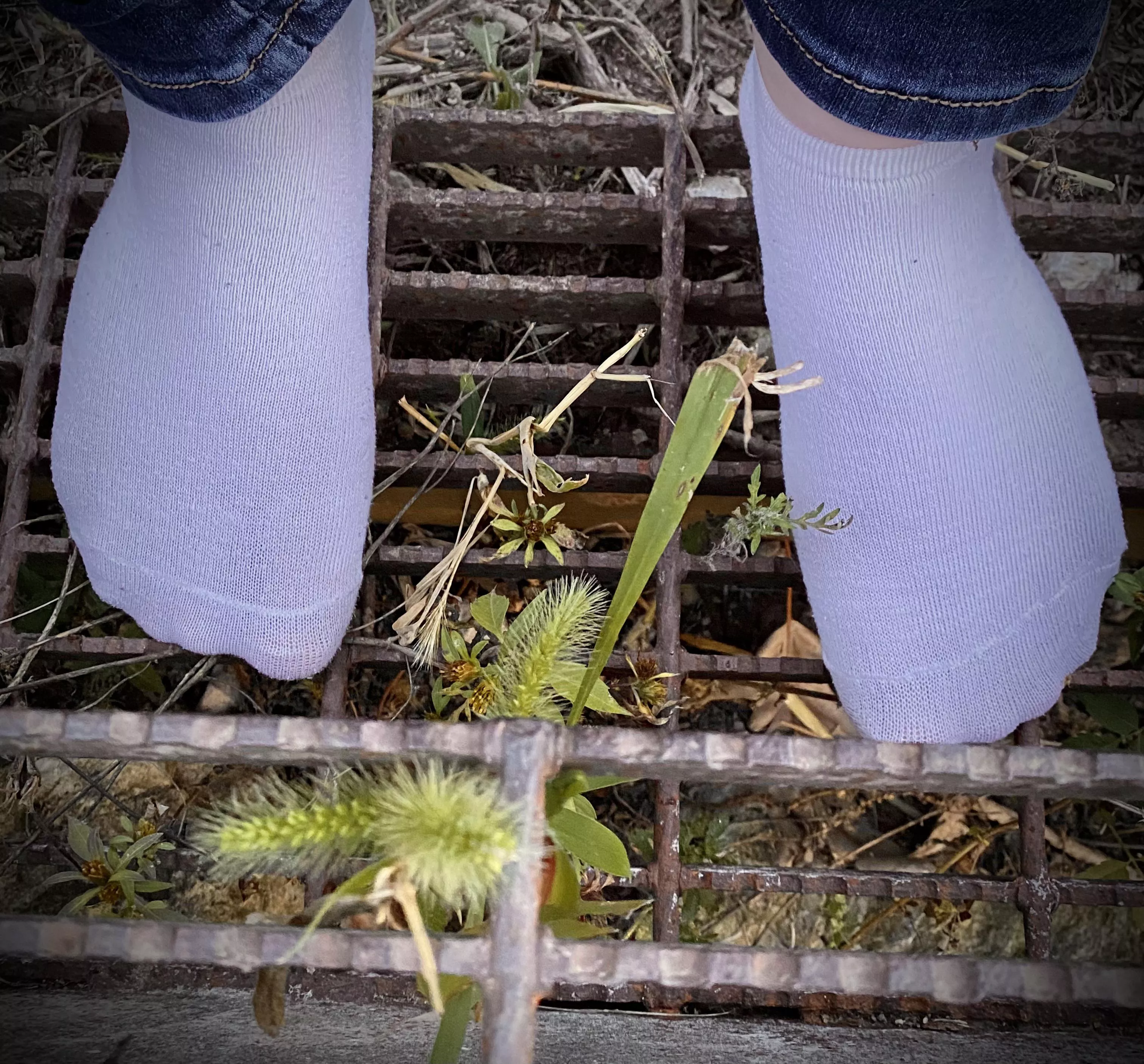 I took my shoes off on my hike because I just knew my socks would be appreciated~