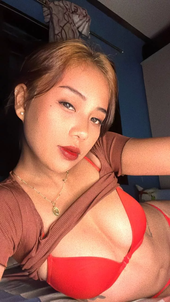 I wanna play your bird~