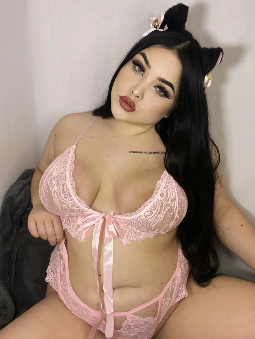 I want to be your chubby kitty