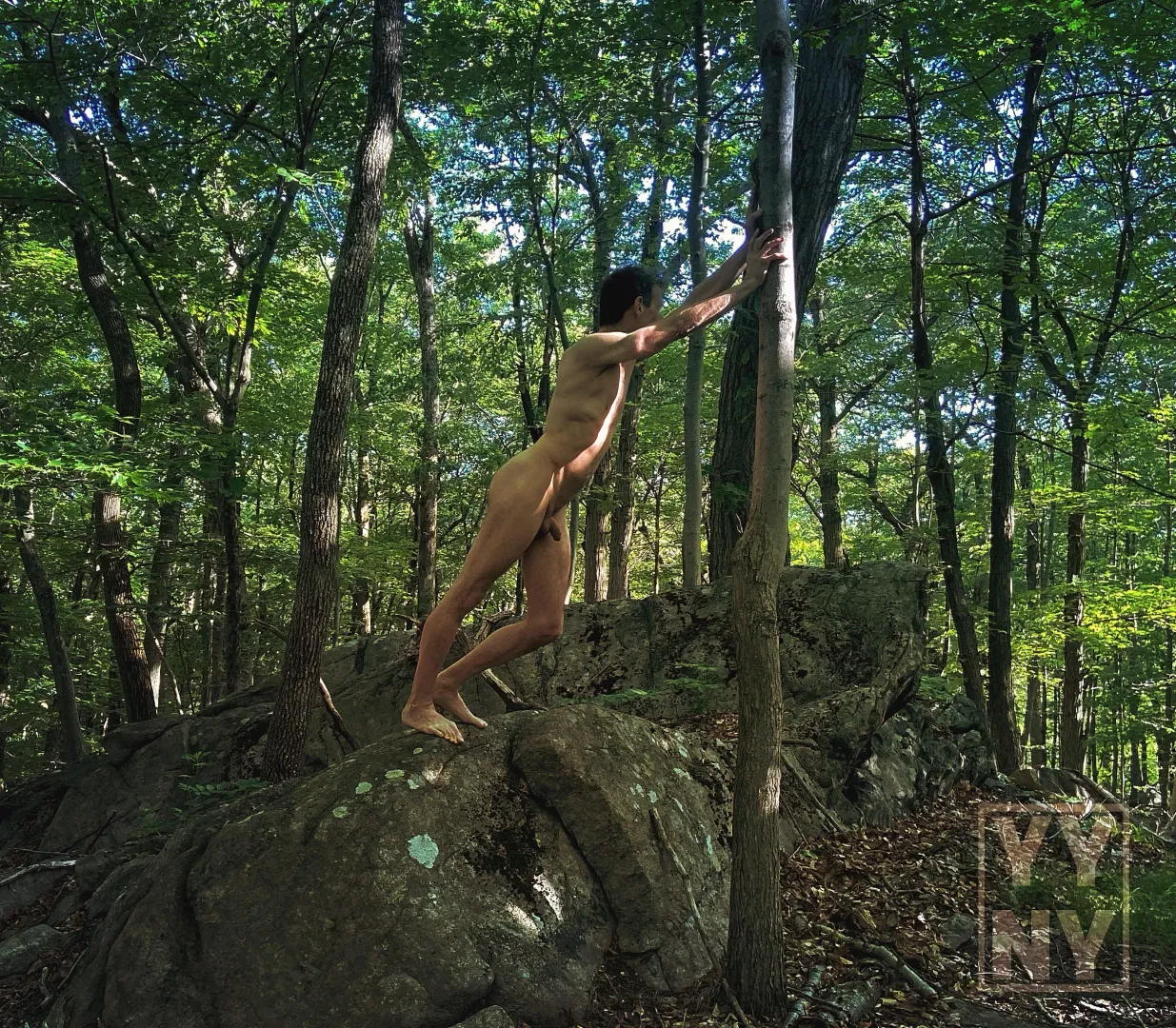 I was told to hold up this tree or all the trees in the forest would fall!! 🌳