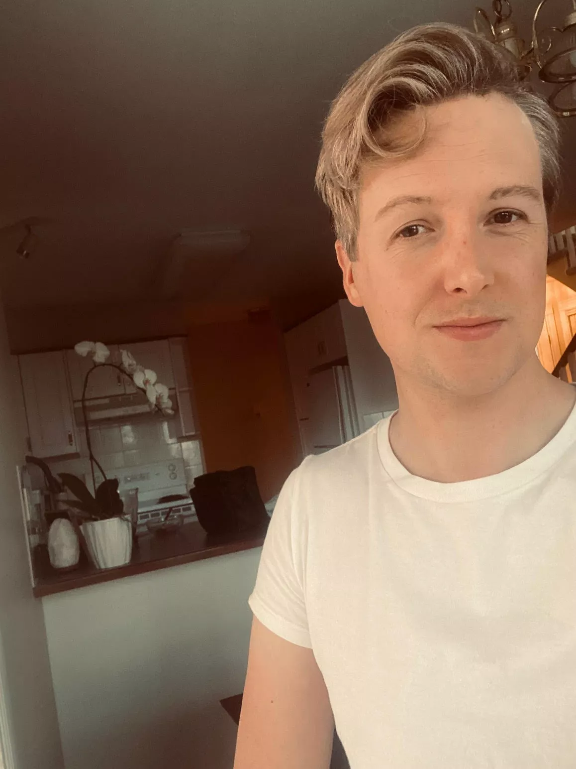 Icelandic boi here 🧊🏔️ up past my bedtime 😇