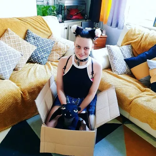 If it fits it sits