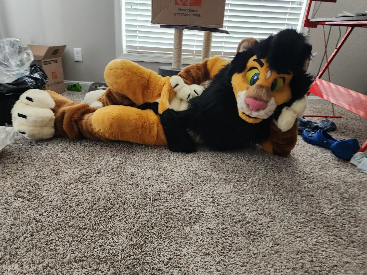 Ignore the mess...