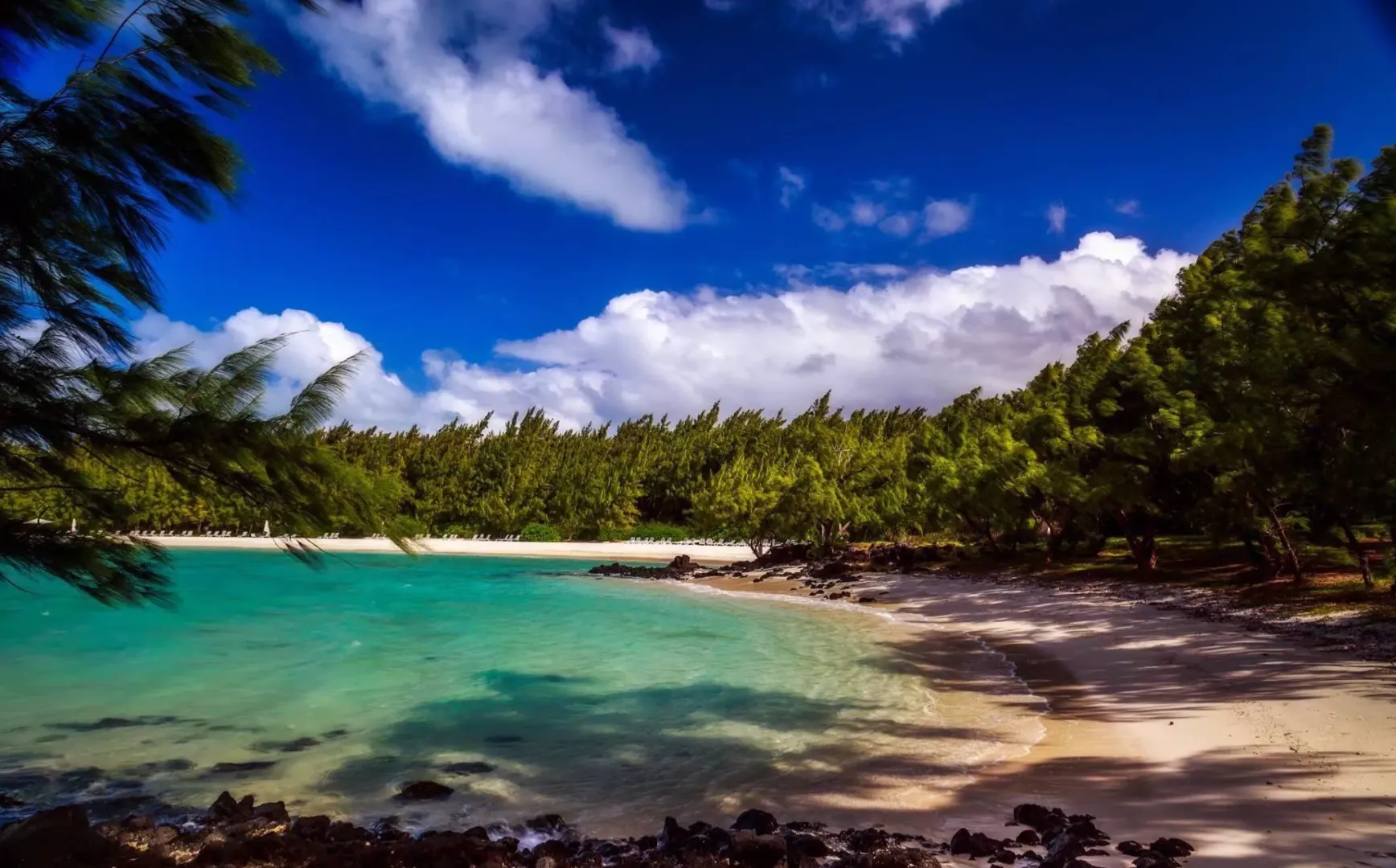 Ile aux cerf