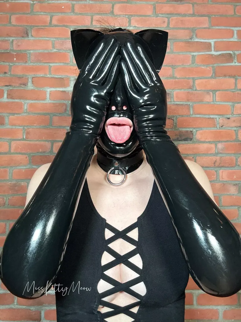 I’ll be your French kitty