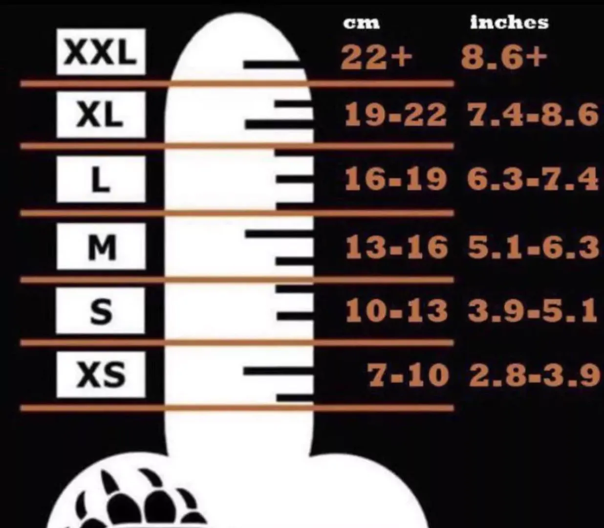 I’ll show you my ass of you beat me (xl)