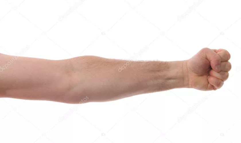 I’m a 25 guy who has an arm and forearm fetish for other guys, who is into this? PM me if you want too