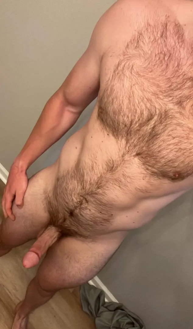 I’m back (and hairier than ever)