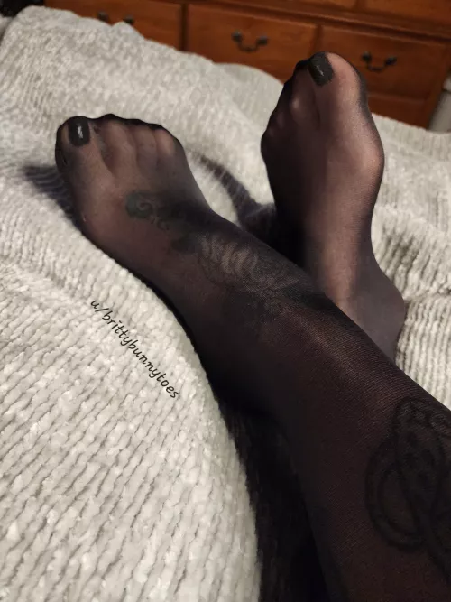 I'm dying for someone to take care of my silky feet