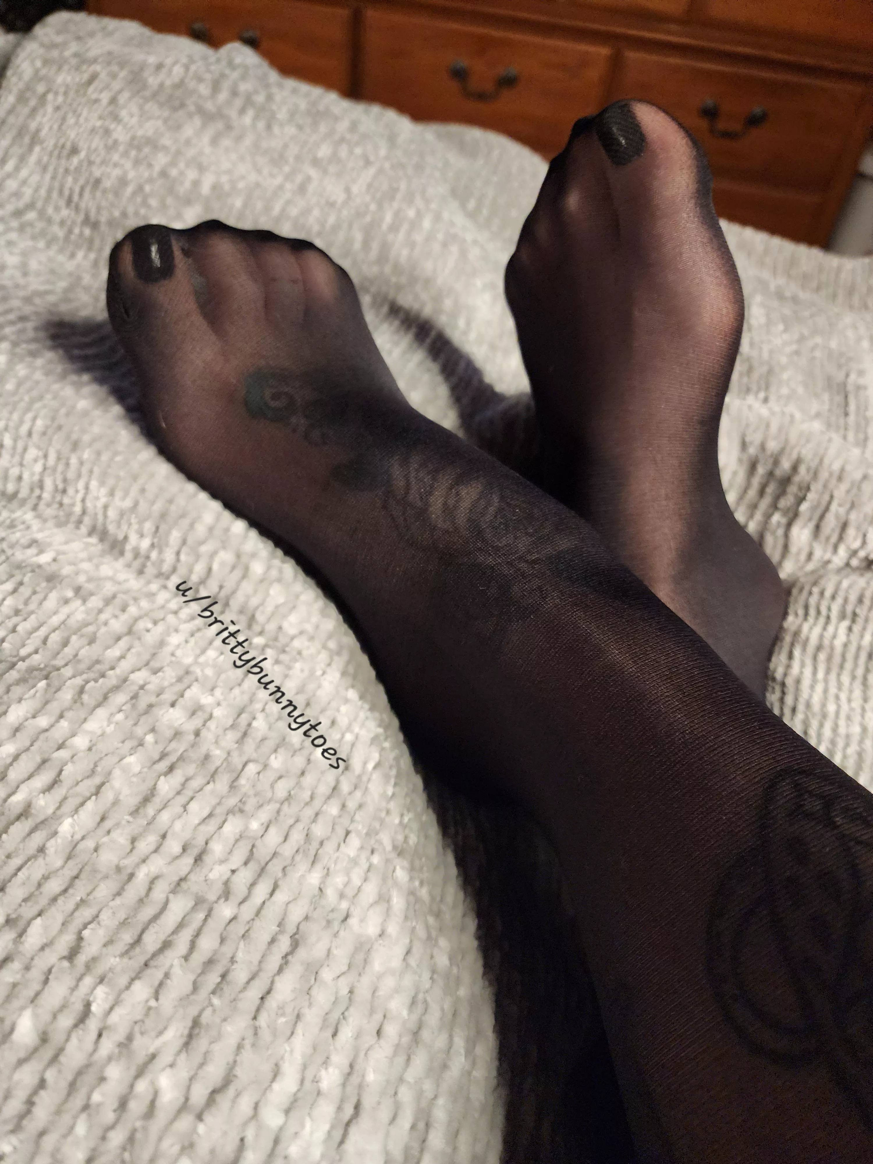 I'm dying for someone to take care of my silky feet