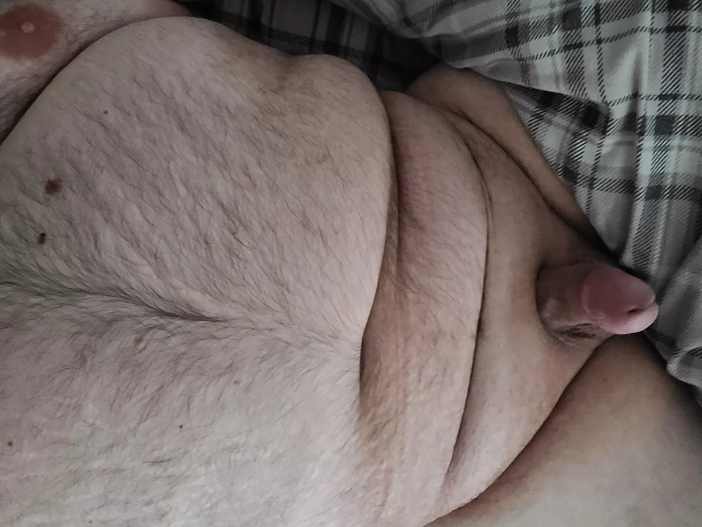 I'm ready to breed and see you swollen with my baby