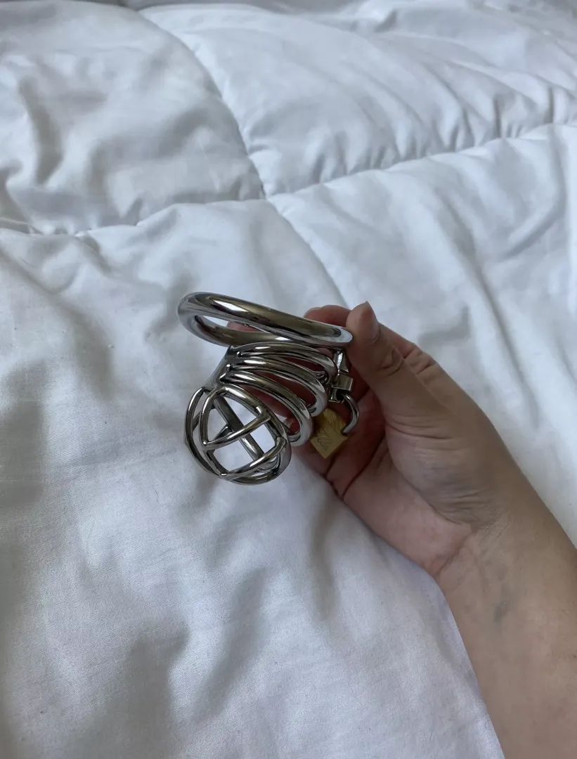 I'm ready to lock you 🔐