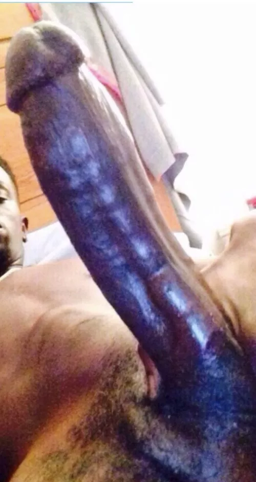 I’m the new maintenance guy just moved in across the street…