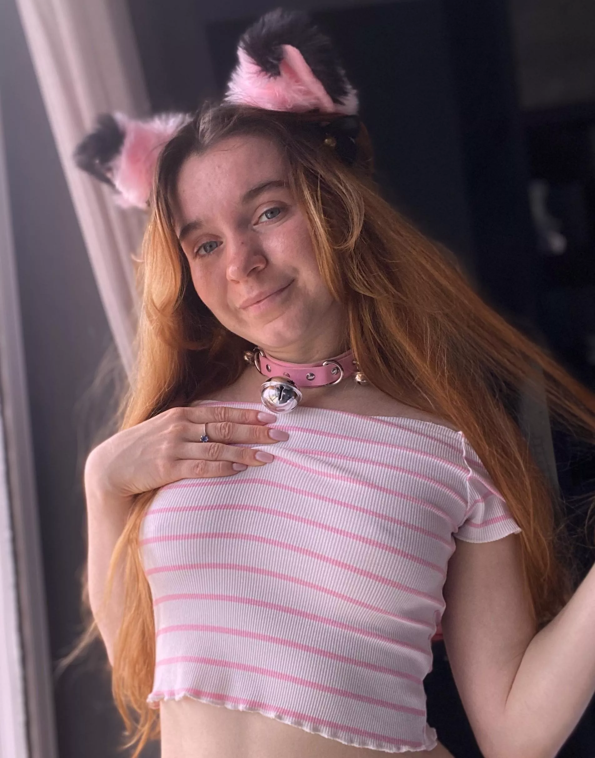 I'm trying to be a wild cat but I'm still a cute kitty at heart