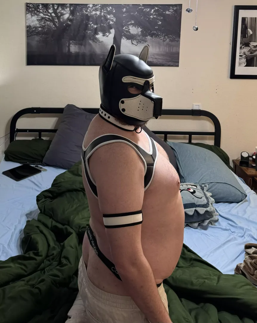 I’m turning 37 tomorrow! Say something nice :)