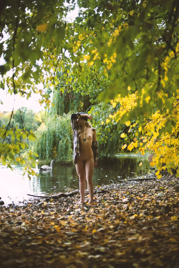 Imagine you go for a walk in the park and see this
