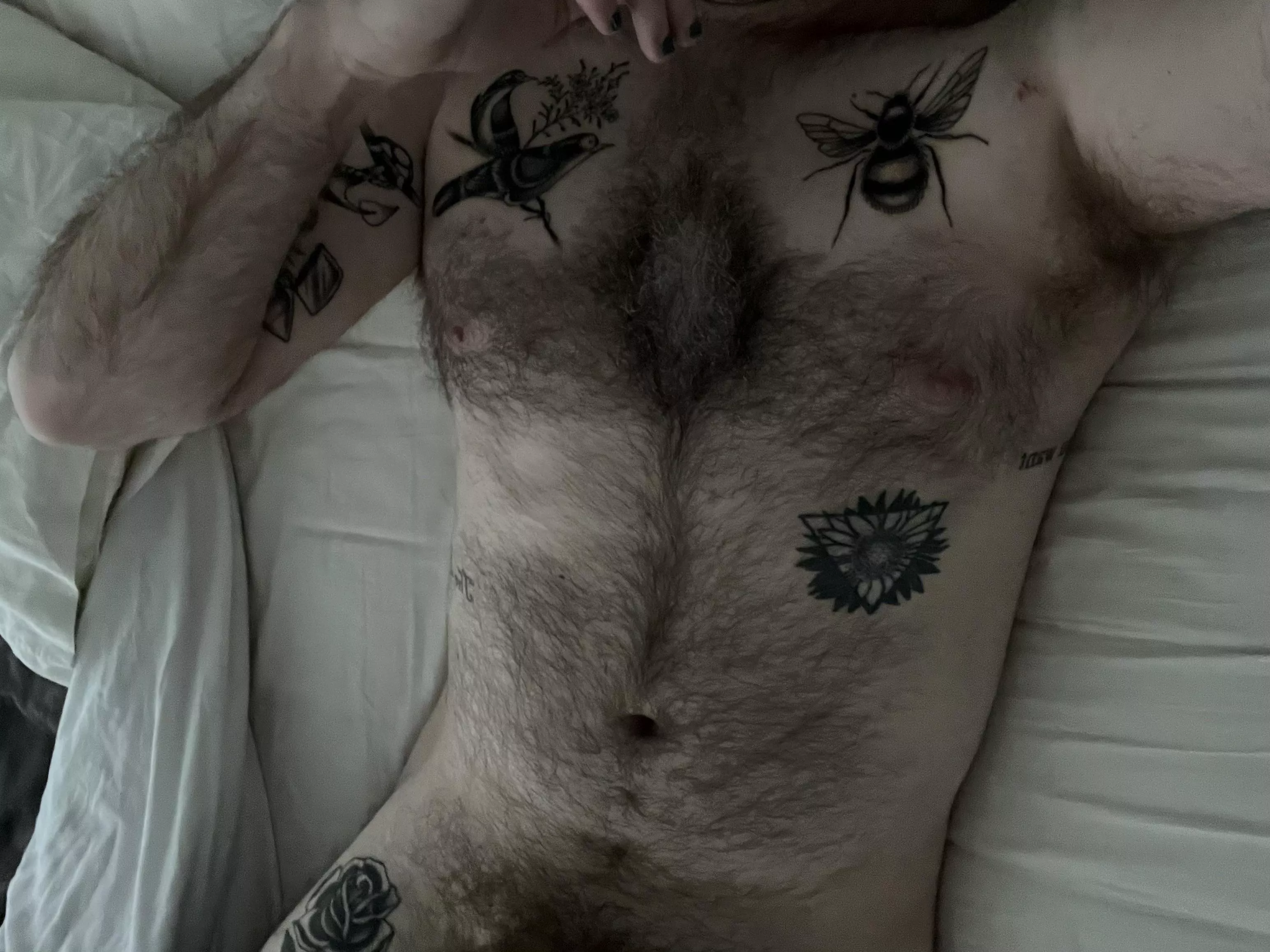 impatiently waiting for my chest hair to grow back after my new tattoos