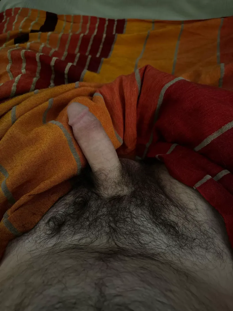 In bed (40)