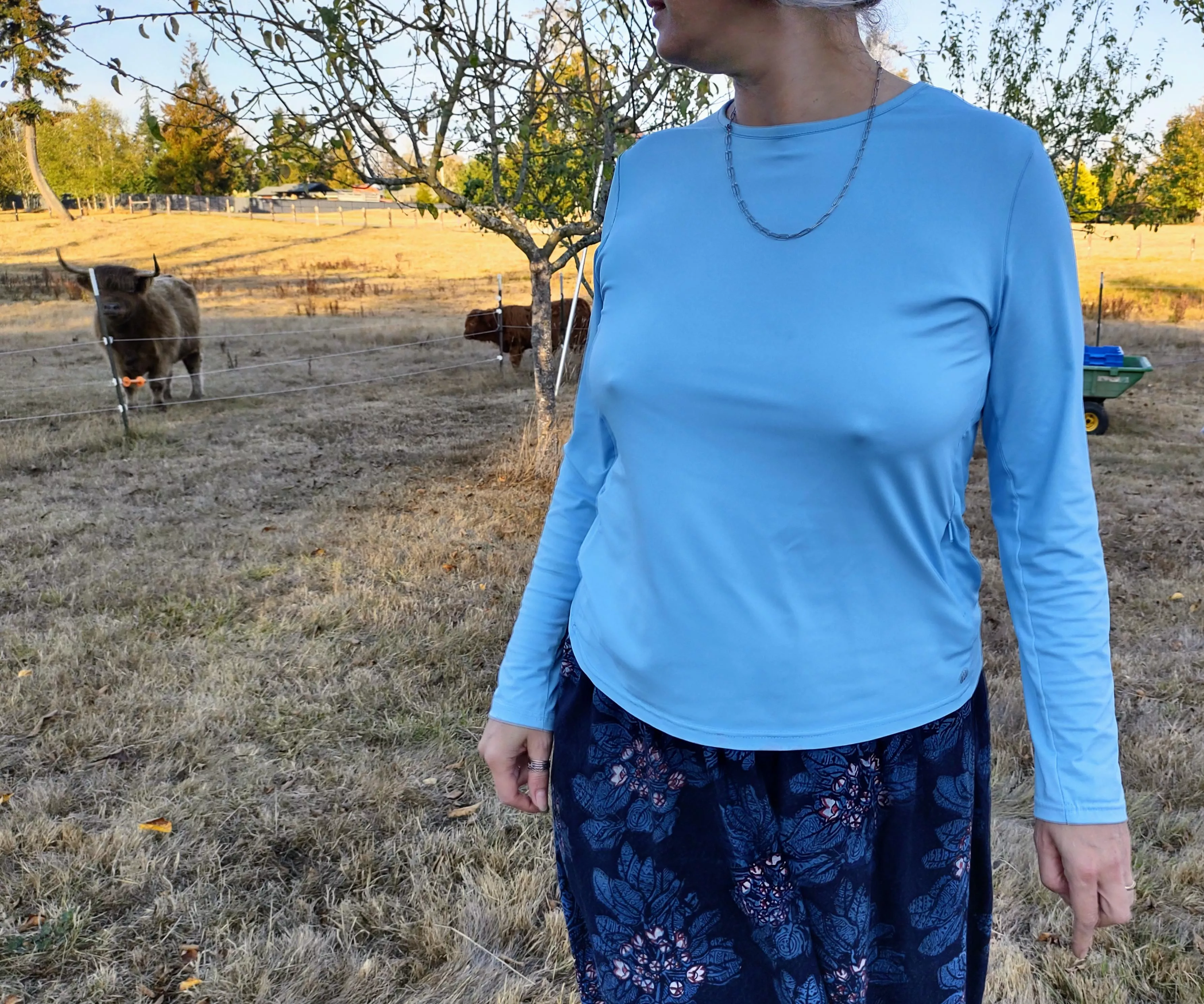 In the Apple Orchard