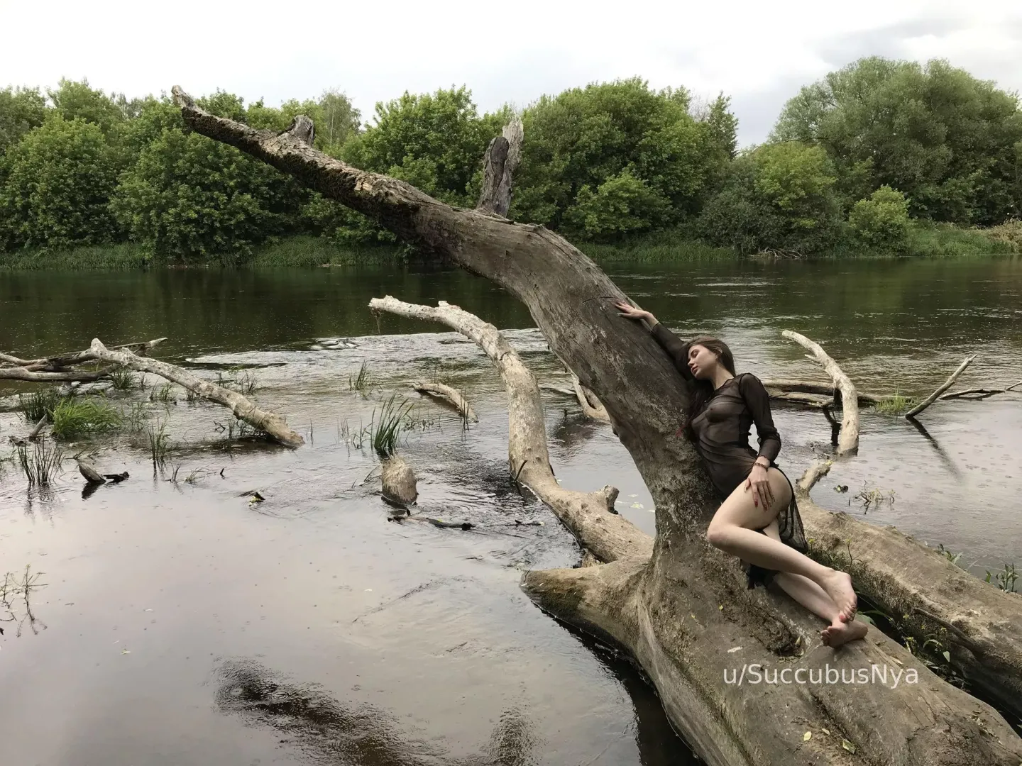 In the Arms of the River
