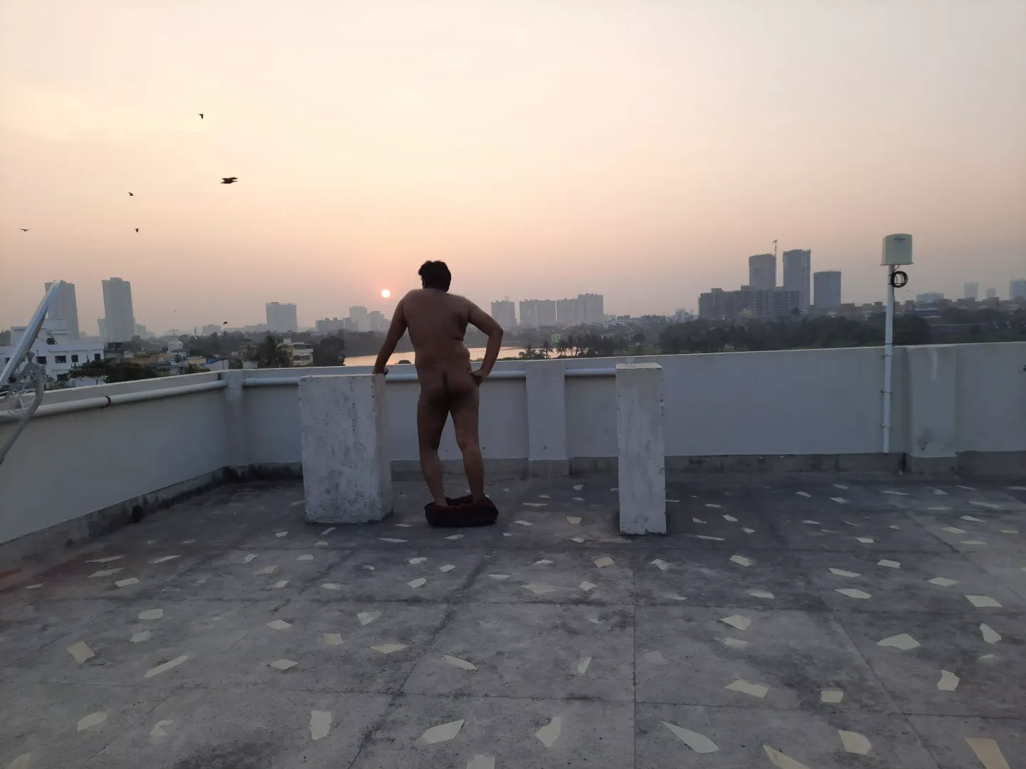 In the Concrete Jungle